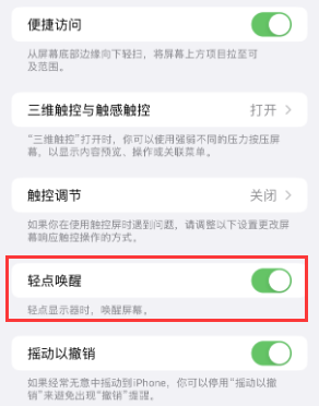 秦皇岛苹果授权维修站分享iPhone轻点无法唤醒怎么办 