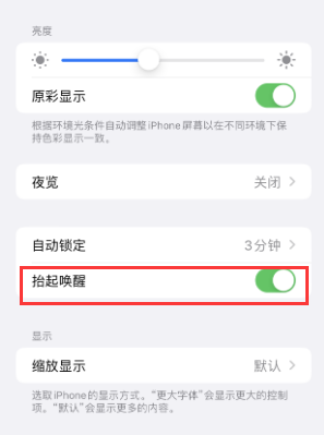 秦皇岛苹果授权维修站分享iPhone轻点无法唤醒怎么办