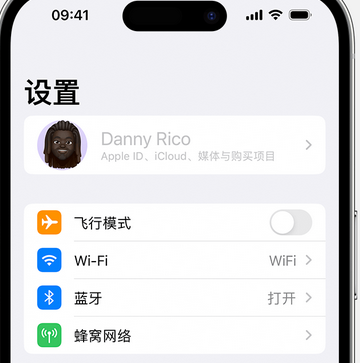 秦皇岛appleID维修服务iPhone设置中Apple ID显示为灰色无法使用 