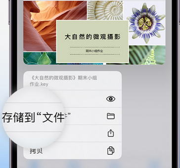 秦皇岛apple维修中心分享iPhone文件应用中存储和找到下载文件