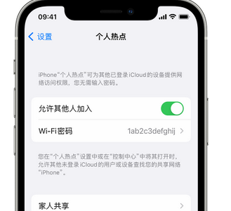 秦皇岛apple服务站点分享iPhone上个人热点丢失了怎么办