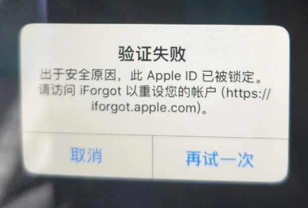 秦皇岛iPhone维修分享iPhone上正常登录或使用AppleID怎么办 