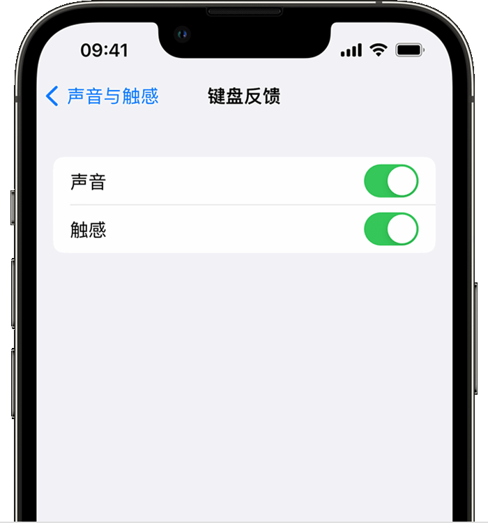 秦皇岛苹果14维修店分享如何在 iPhone 14 机型中使用触感键盘 