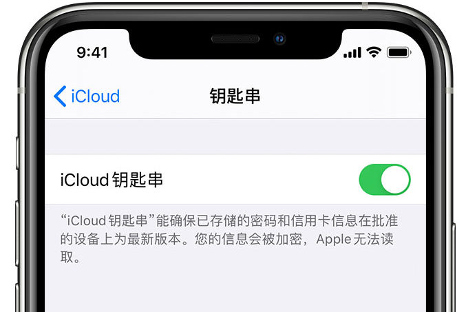 秦皇岛苹果手机维修分享在 iPhone 上开启 iCloud 钥匙串之后会储存哪些信息 