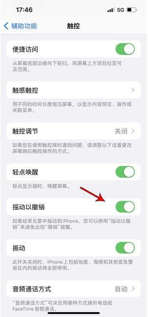 秦皇岛苹果手机维修分享iPhone手机如何设置摇一摇删除文字 