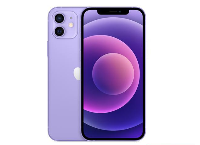 秦皇岛苹果手机维修分享现阶段要不要入手紫色版iPhone12 